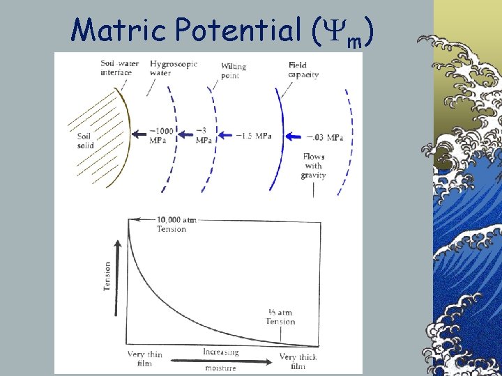 Matric Potential ( m) 
