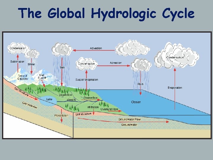 The Global Hydrologic Cycle 