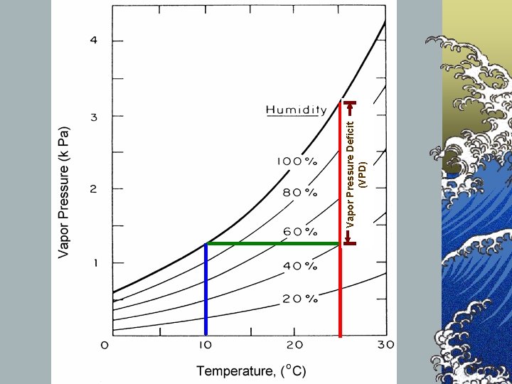 Vapor Pressure Deficit (VPD) 