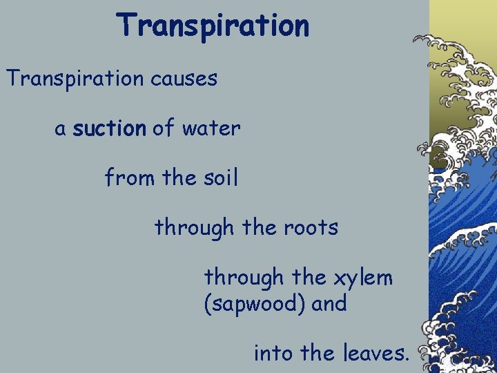 Transpiration causes a suction of water from the soil through the roots through the