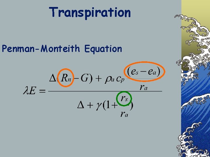 Transpiration Penman-Monteith Equation 