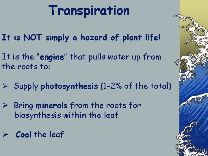 Transpiration It is NOT simply a hazard of plant life! It is the “engine”