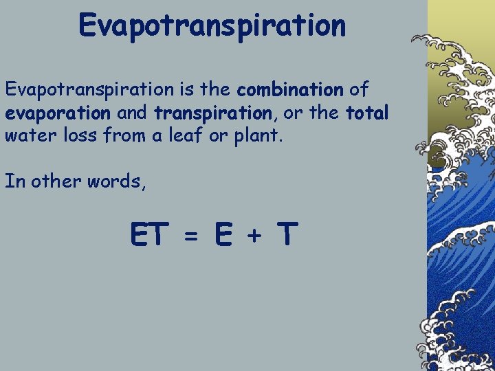 Evapotranspiration is the combination of evaporation and transpiration, or the total water loss from