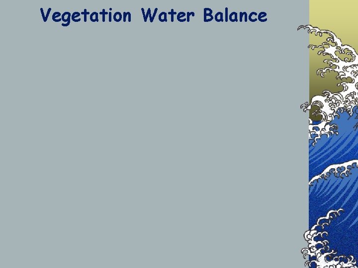 Vegetation Water Balance 