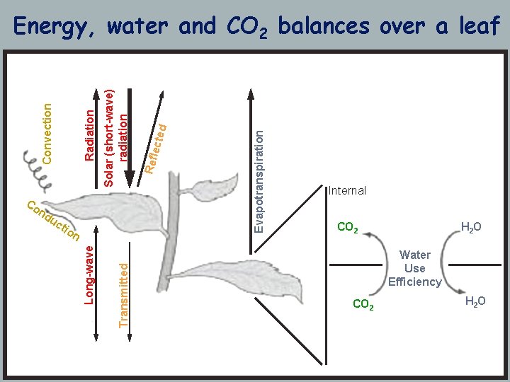 n d ecte Refl Solar (short-wave) radiation tio Evapotranspiration uc Transmitted nd Long-wave Co