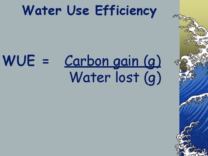 Water Use Efficiency WUE = Carbon gain (g) Water lost (g) 