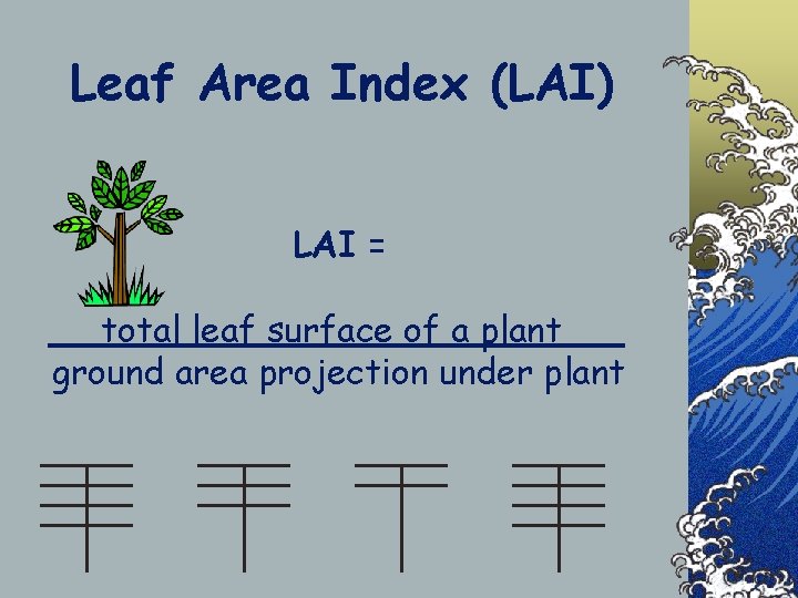 Leaf Area Index (LAI) LAI = total leaf surface of a plant X ground