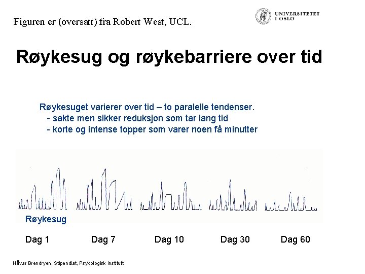 Figuren er (oversatt) fra Robert West, UCL. Røykesug og røykebarriere over tid Røykesuget varierer