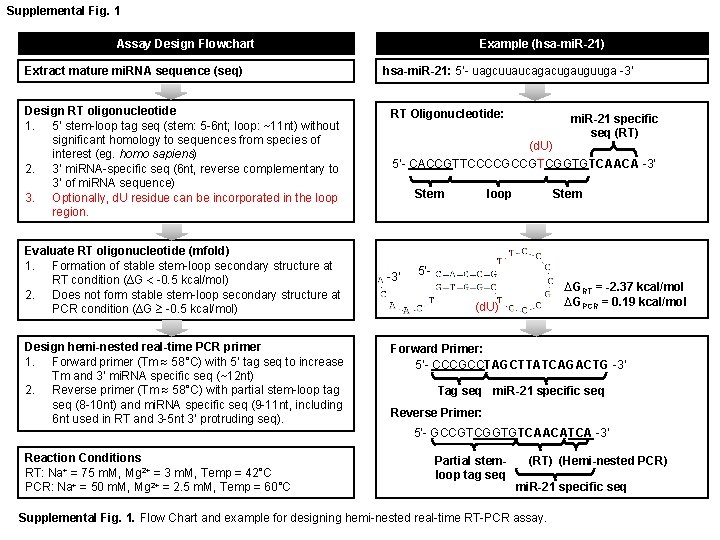 Supplemental Fig. 1 Assay Design Flowchart Extract mature mi. RNA sequence (seq) Design RT