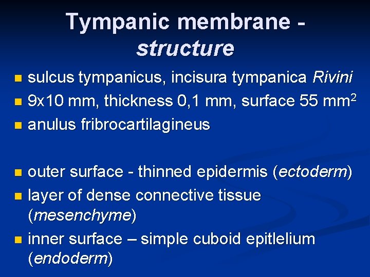 Tympanic membrane structure sulcus tympanicus, incisura tympanica Rivini n 9 x 10 mm, thickness