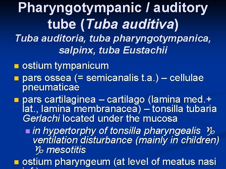 Pharyngotympanic / auditory tube (Tuba auditiva) Tuba auditoria, tuba pharyngotympanica, salpinx, tuba Eustachii n