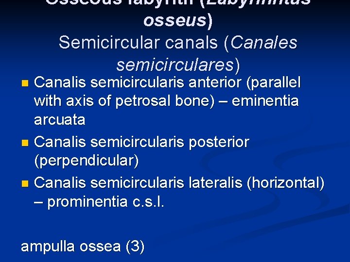 Osseous labyrith (Labyrinhtus osseus) Semicircular canals (Canales semicirculares) Canalis semicircularis anterior (parallel with axis Osseous labyrith (Labyrinhtus osseus) Semicircular canals (Canales semicirculares) Canalis semicircularis anterior (parallel with axis