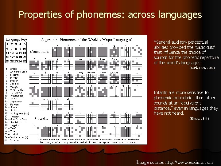 Properties of phonemes: across languages “General auditory perceptual abilities provided the ‘basic cuts’ that