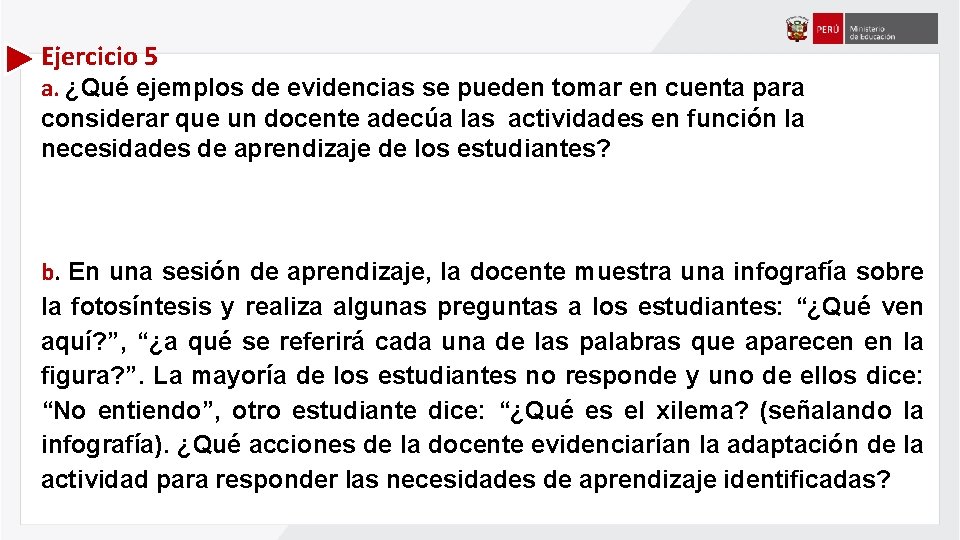 Ejercicio 5 a. ¿Qué ejemplos de evidencias se pueden tomar en cuenta para considerar