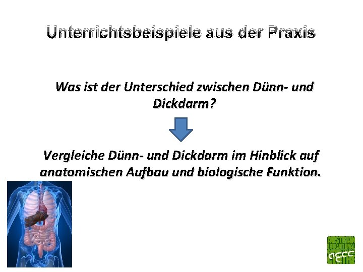 Unterrichtsbeispiele aus der Praxis Was ist der Unterschied zwischen Dünn- und Dickdarm? Vergleiche Dünn-