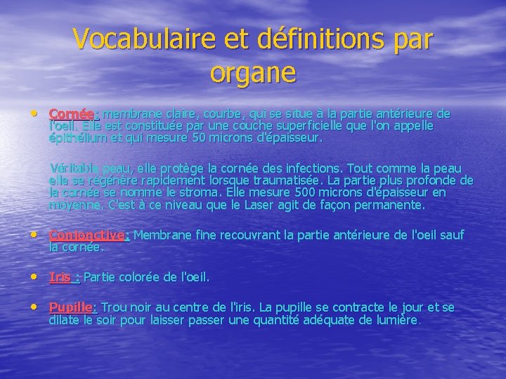 Vocabulaire et définitions par organe • Cornée: membrane claire, courbe, qui se situe à