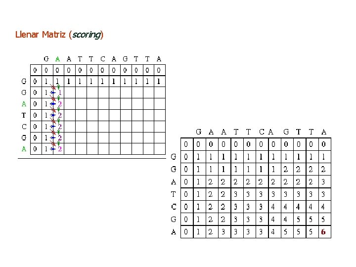 Llenar Matriz (scoring) 