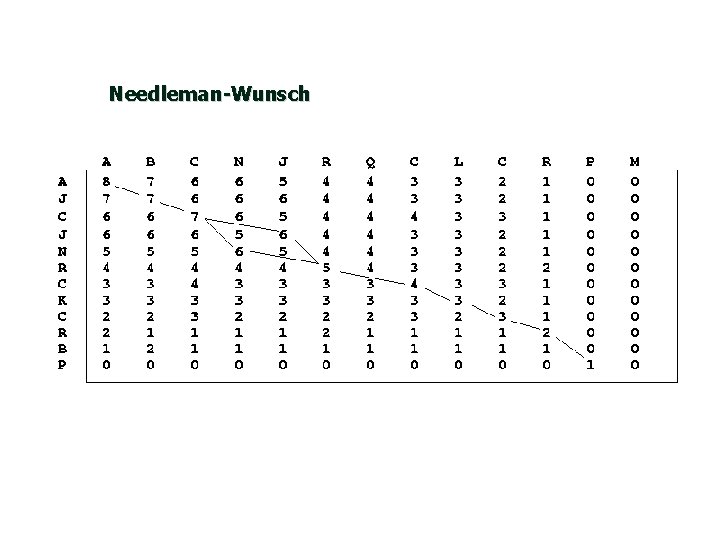 Needleman-Wunsch 