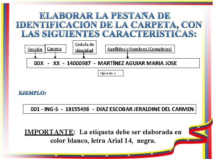 Sección Carrera Cedula de Identidad Apellidos y Nombres (Completos) 00 X - XX -