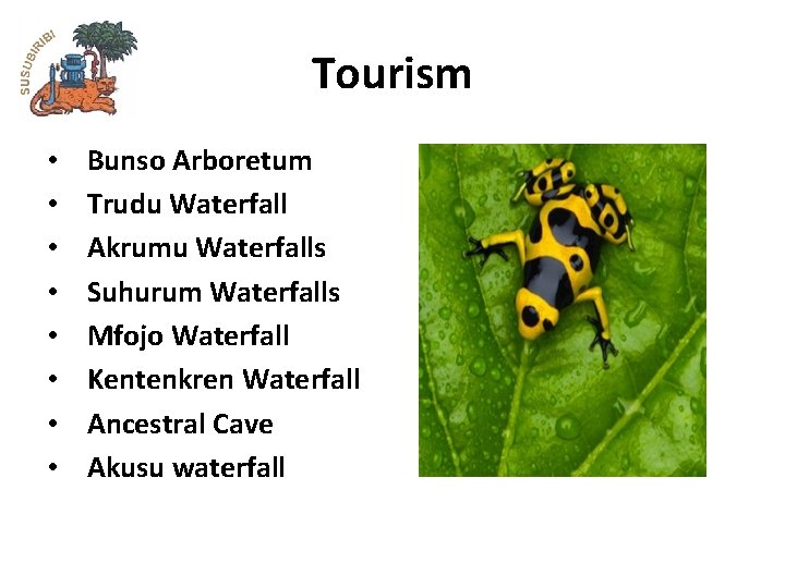 Tourism • • Bunso Arboretum Trudu Waterfall Akrumu Waterfalls Suhurum Waterfalls Mfojo Waterfall Kentenkren