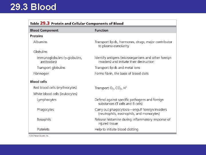 29. 3 Blood 
