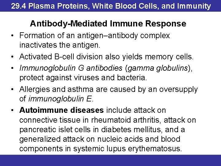 29. 4 Plasma Proteins, White Blood Cells, and Immunity Antibody-Mediated Immune Response • Formation