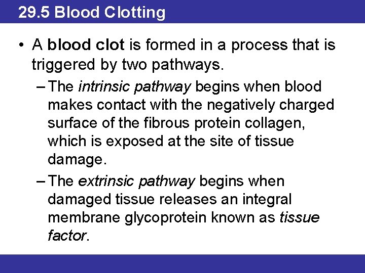 29. 5 Blood Clotting • A blood clot is formed in a process that
