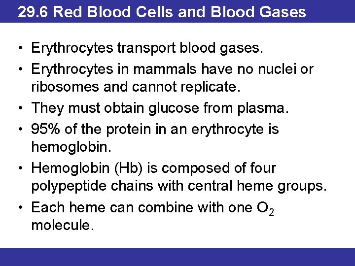 29. 6 Red Blood Cells and Blood Gases • Erythrocytes transport blood gases. •