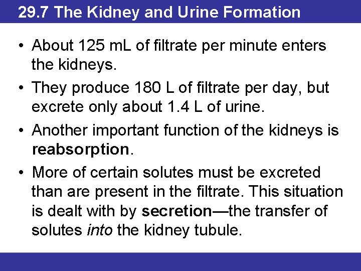 29. 7 The Kidney and Urine Formation • About 125 m. L of filtrate