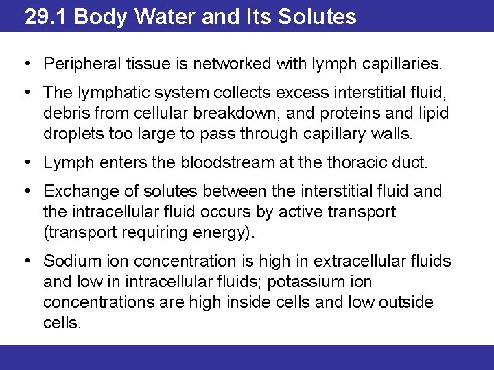 29. 1 Body Water and Its Solutes • Peripheral tissue is networked with lymph