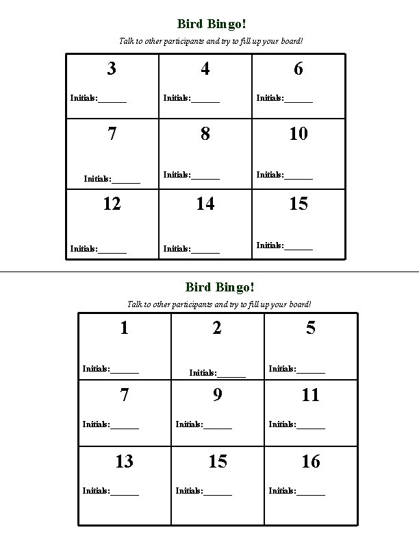 Bird Bingo! Talk to other participants and try to fill up your board! 3