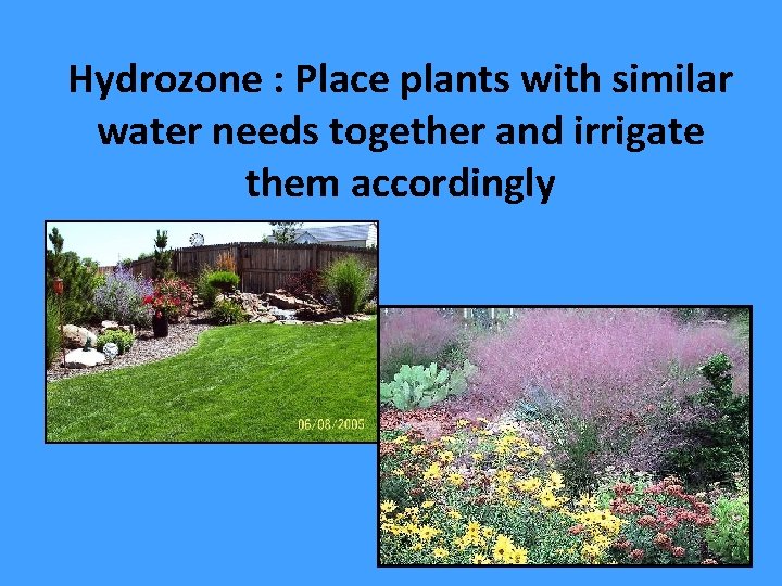 Hydrozone : Place plants with similar water needs together and irrigate them accordingly 