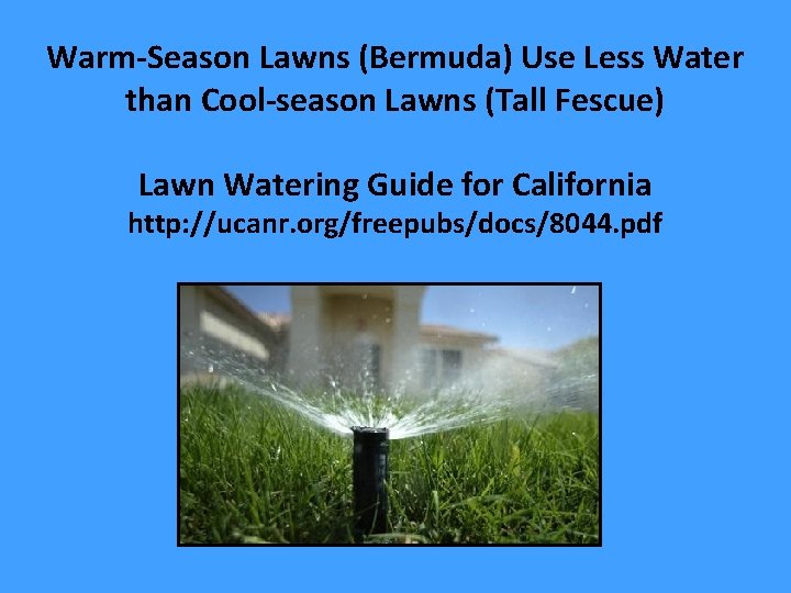 Warm-Season Lawns (Bermuda) Use Less Water than Cool-season Lawns (Tall Fescue) Lawn Watering Guide