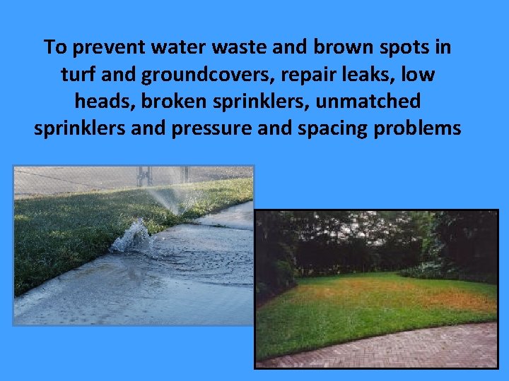 To prevent water waste and brown spots in turf and groundcovers, repair leaks, low