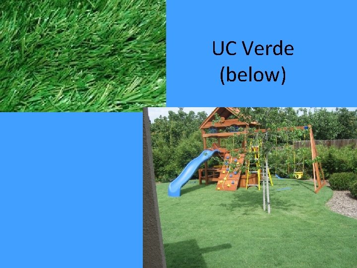 UC Verde (below) 