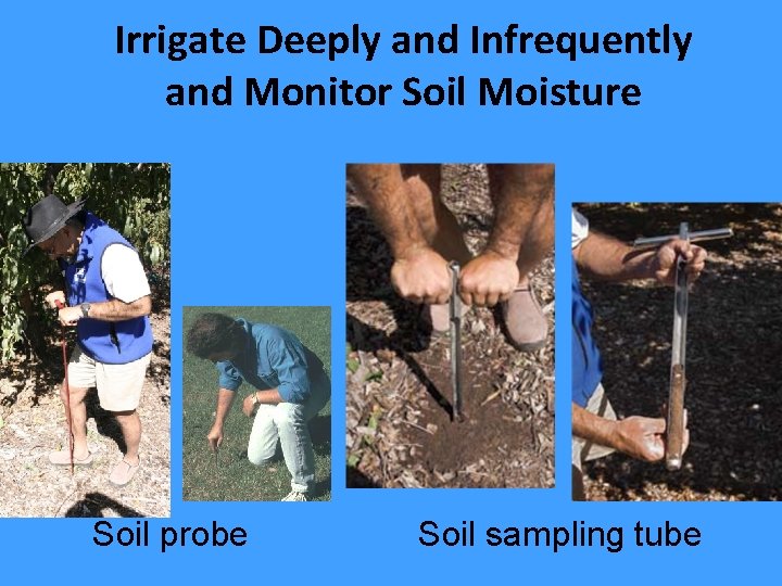 Irrigate Deeply and Infrequently and Monitor Soil Moisture Soil probe Soil sampling tube 