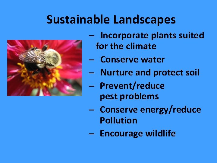 Sustainable Landscapes – Incorporate plants suited for the climate – Conserve water – Nurture