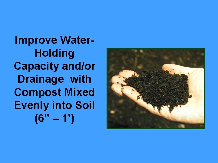 Improve Water. Holding Capacity and/or Drainage with Compost Mixed Evenly into Soil (6” –