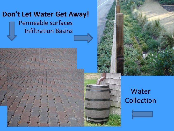 Don’t Let Water Get Away! Permeable surfaces Infiltration Basins Water Collection 