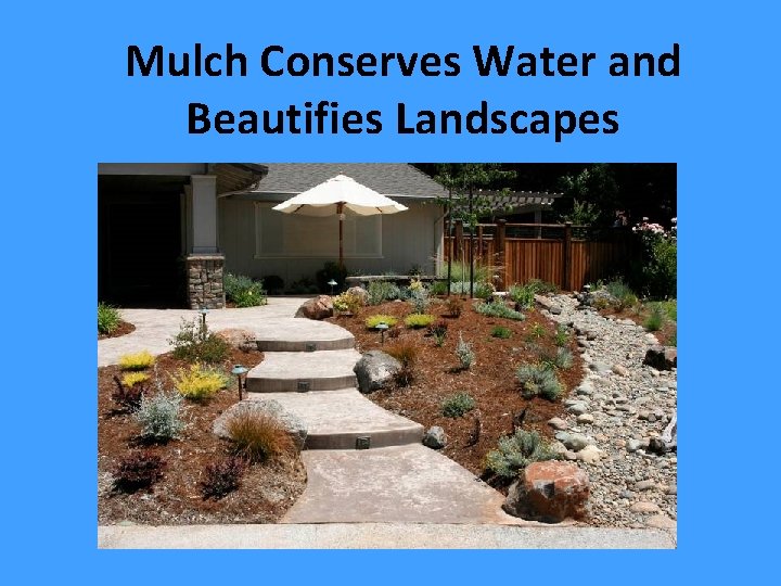 Mulch Conserves Water and Beautifies Landscapes 