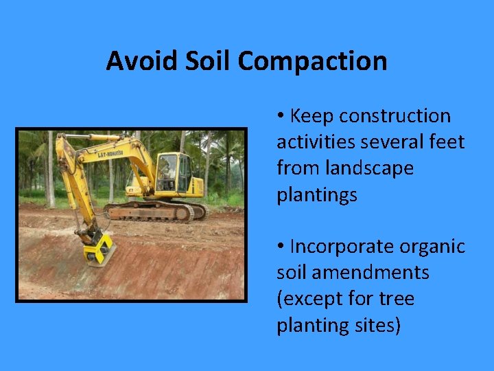 Avoid Soil Compaction • Keep construction activities several feet from landscape plantings • Incorporate