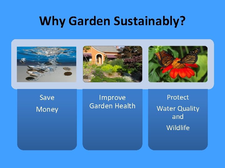 Why Garden Sustainably? Save Money Improve Garden Health Protect Water Quality and Wildlife 