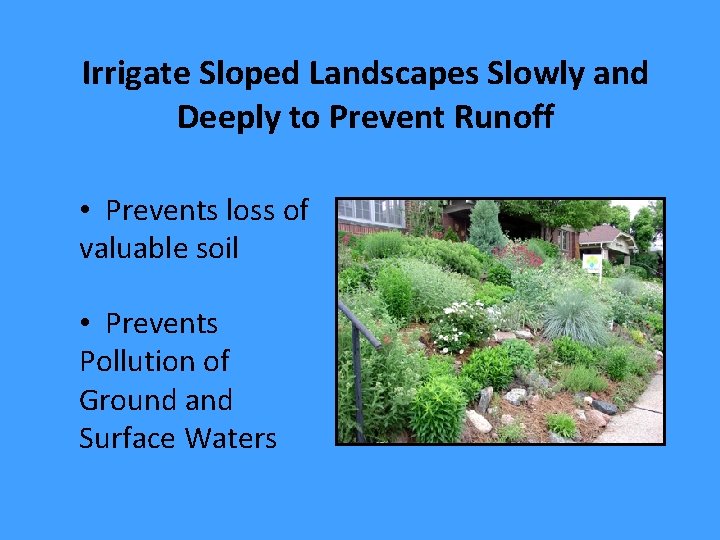 Irrigate Sloped Landscapes Slowly and Deeply to Prevent Runoff • Prevents loss of valuable