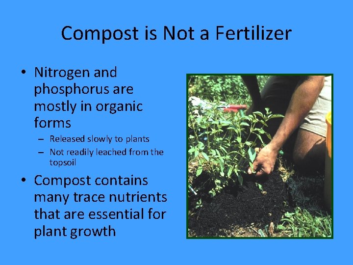 Compost is Not a Fertilizer • Nitrogen and phosphorus are mostly in organic forms