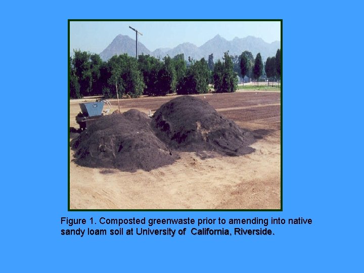 Figure 1. Composted greenwaste prior to amending into native sandy loam soil at University