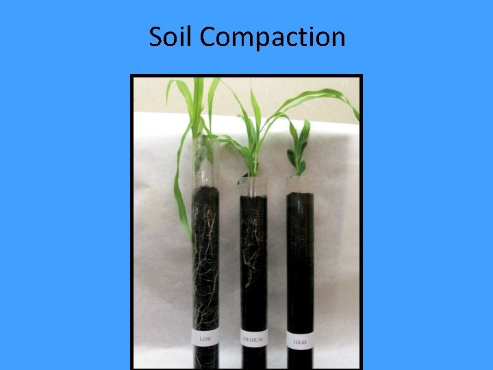 Soil Compaction 