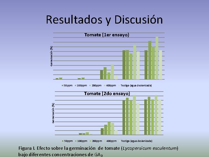 Resultados y Discusión Germinación (%) Tomate (1 er ensayo) 50 ppm 100 ppm 200