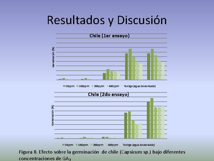 Resultados y Discusión Germinación (%) Chile (1 er ensayo) 50 ppm 100 ppm 200