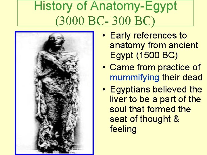 History of Anatomy-Egypt (3000 BC- 300 BC) • Early references to anatomy from ancient