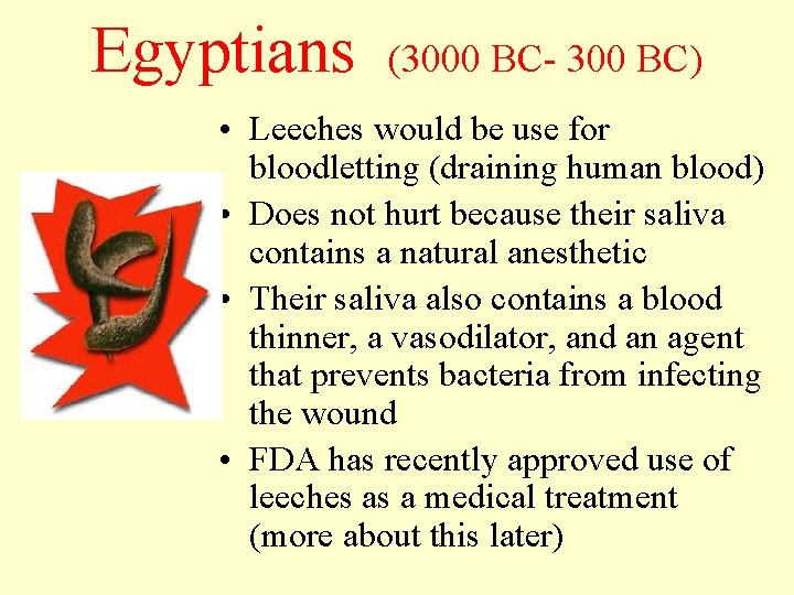 Egyptians (3000 BC- 300 BC) • Leeches would be use for bloodletting (draining human
